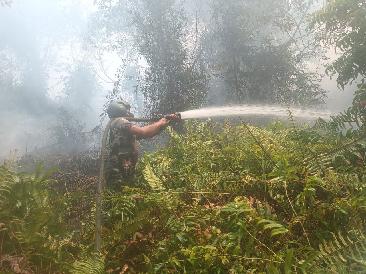 Kebakaran Lahan 2,5 Hektare di Sambaliung, Petugas Gabungan Bergerak Padamkan Api